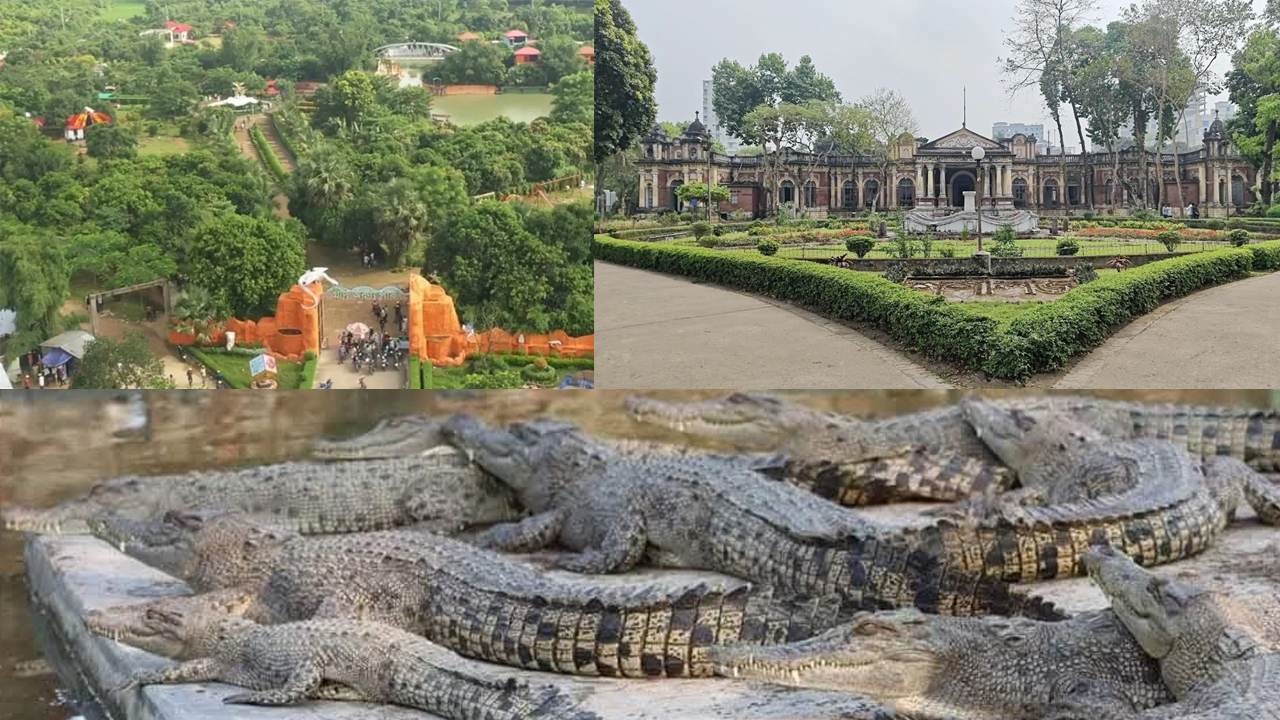 ময়মনসিংহ ভ্রমণ গাইড: ইতিহাস, প্রকৃতি আর সংস্কৃতির এক অনন্য শহর